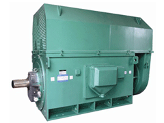 JR116-8Y系列6KV高压电机