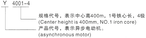 西安泰富西玛Y系列(H355-1000)高压JR116-8三相异步电机型号说明